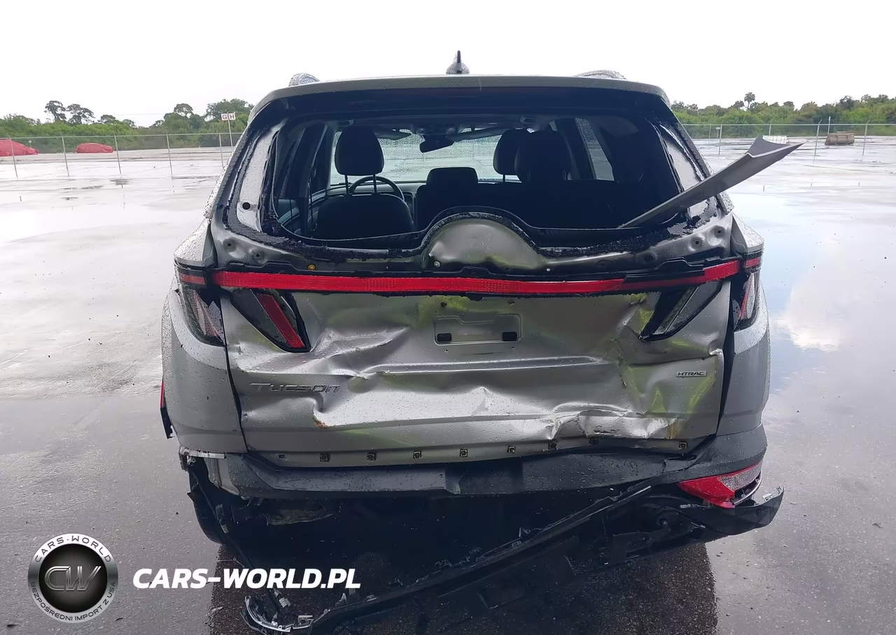 2023 Hyundai Tucson Limited VIN:5NMJECAE4PH189439 - 6
