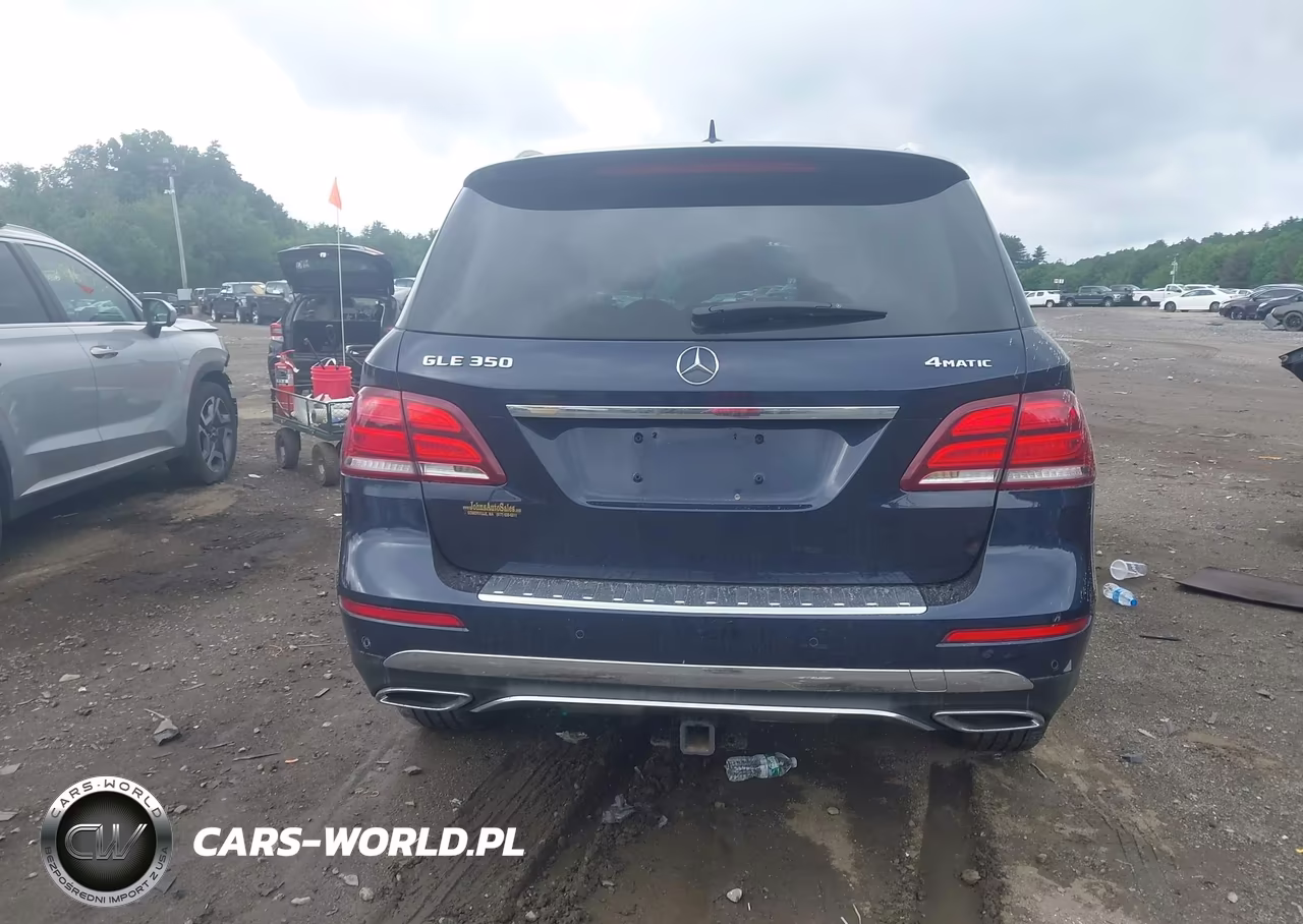 2017 Mercedes-Benz Gle 350 4Matic VIN:4JGDA5HB7HA989899 - 16