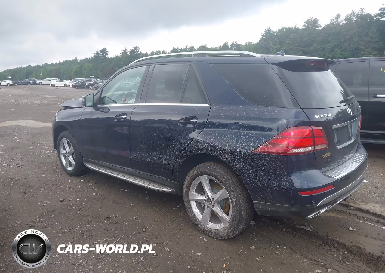 2017 Mercedes-Benz Gle 350 4Matic VIN:4JGDA5HB7HA989899 - 3