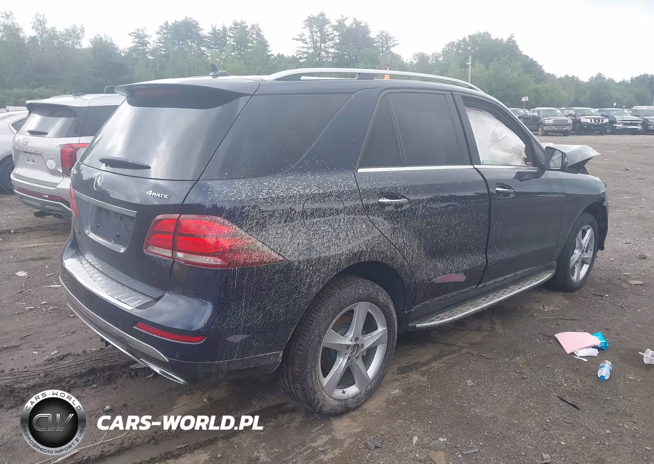 2017 Mercedes-Benz Gle 350 4Matic VIN:4JGDA5HB7HA989899 - 4