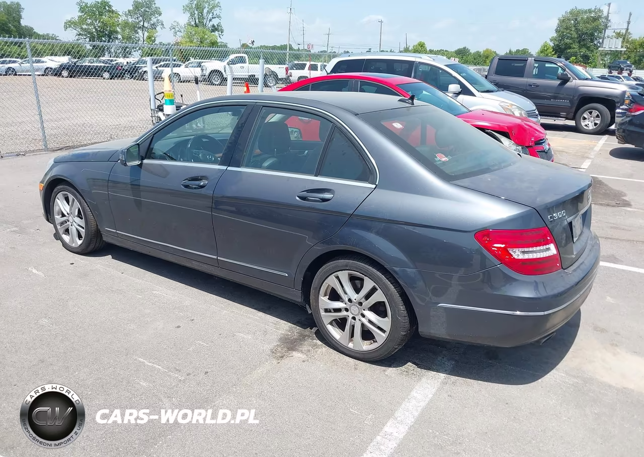 2013 Mercedes-Benz C 300 Luxury 4Matic VIN:WDDGF8AB7DR265131 - 3