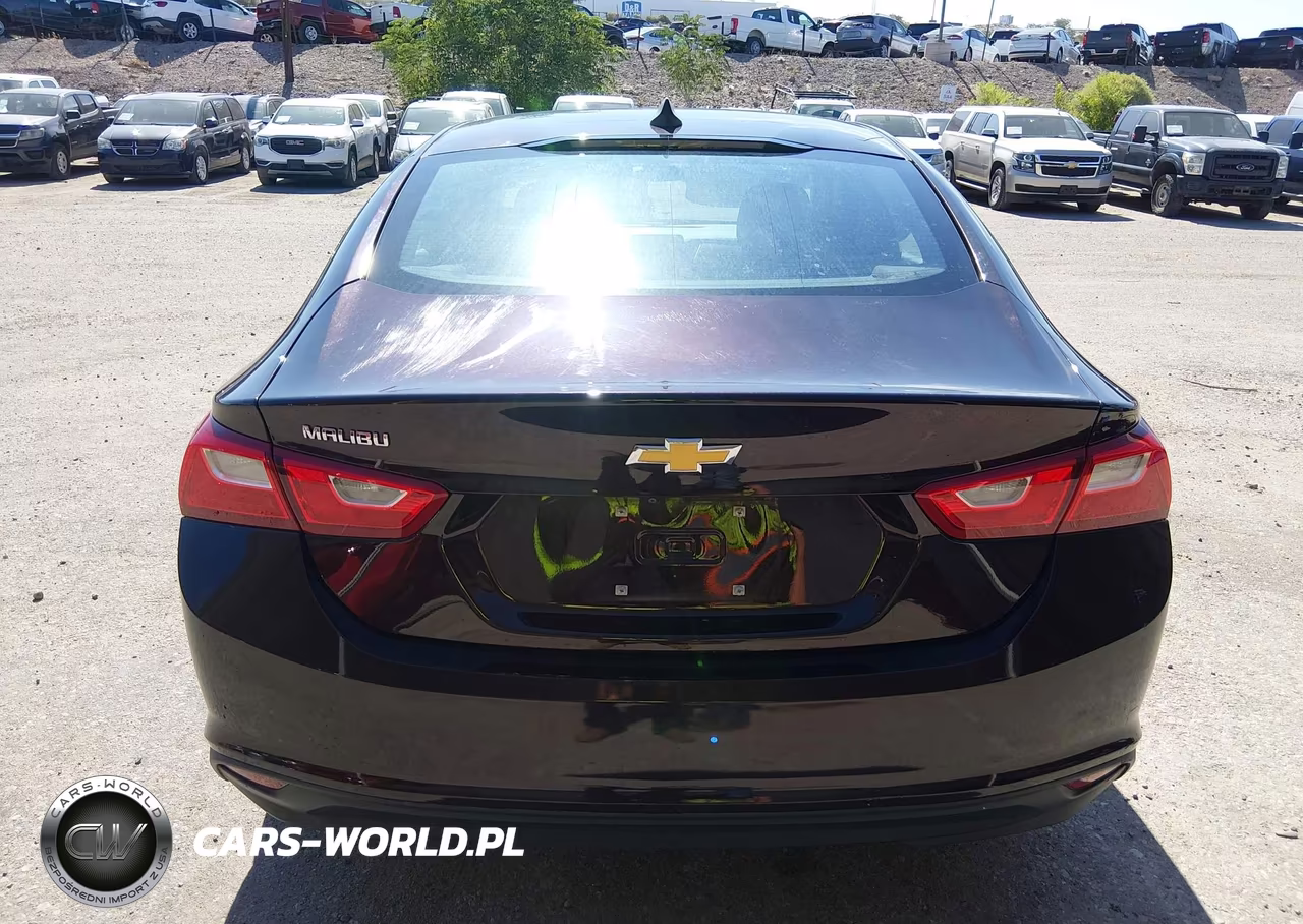 2020 Chevrolet Malibu Fwd 1Fl VIN:1G1ZC5ST1LF131399 - 17