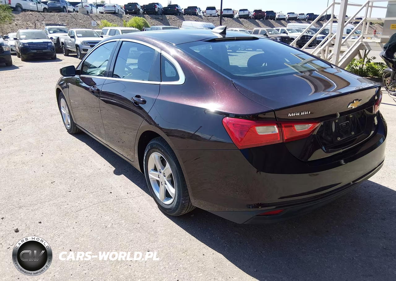 2020 Chevrolet Malibu Fwd 1Fl VIN:1G1ZC5ST1LF131399 - 3