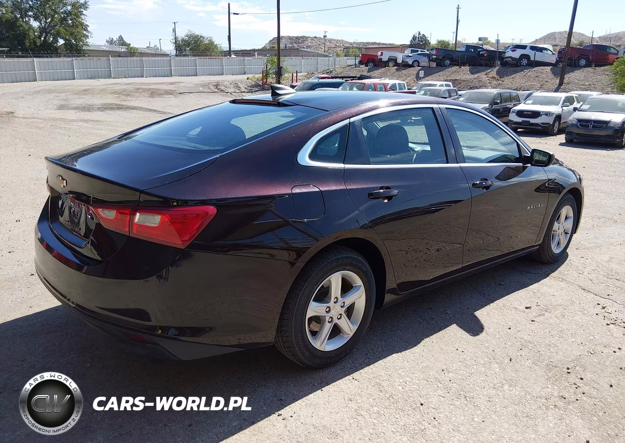 2020 Chevrolet Malibu Fwd 1Fl VIN:1G1ZC5ST1LF131399 - 4