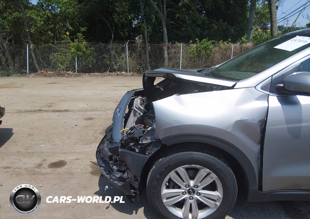2019 Kia Sportage Lx VIN:KNDPMCAC6K7607253 - 18