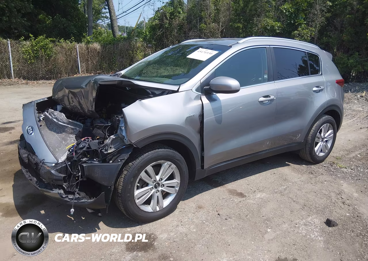 2019 Kia Sportage Lx VIN:KNDPMCAC6K7607253 - 2