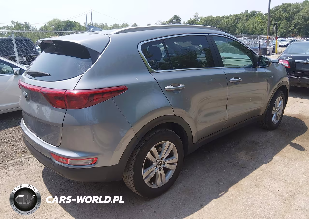 2019 Kia Sportage Lx VIN:KNDPMCAC6K7607253 - 4