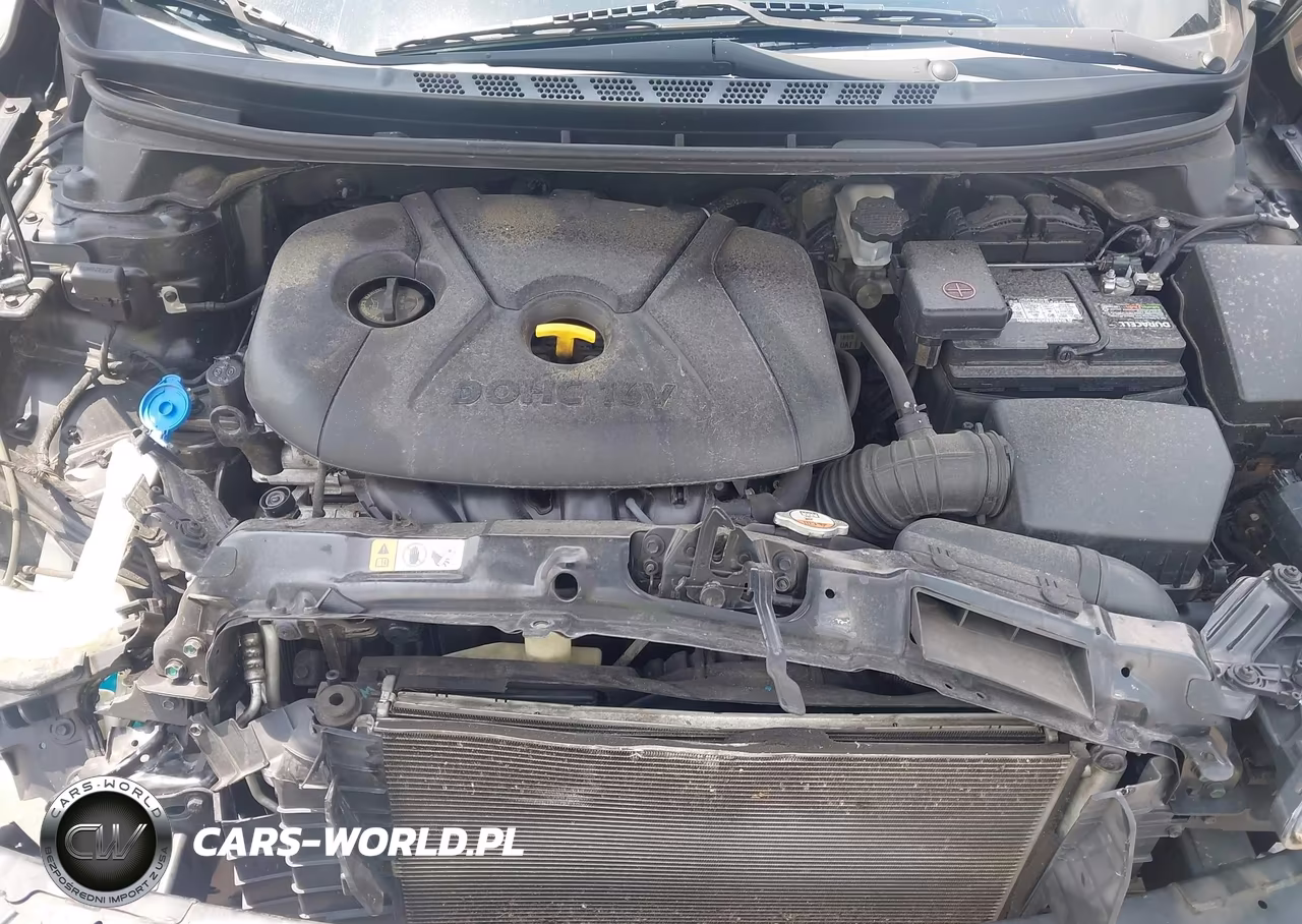 2013 Hyundai Elantra Limited VIN:5NPDH4AE3DH239031 - 10