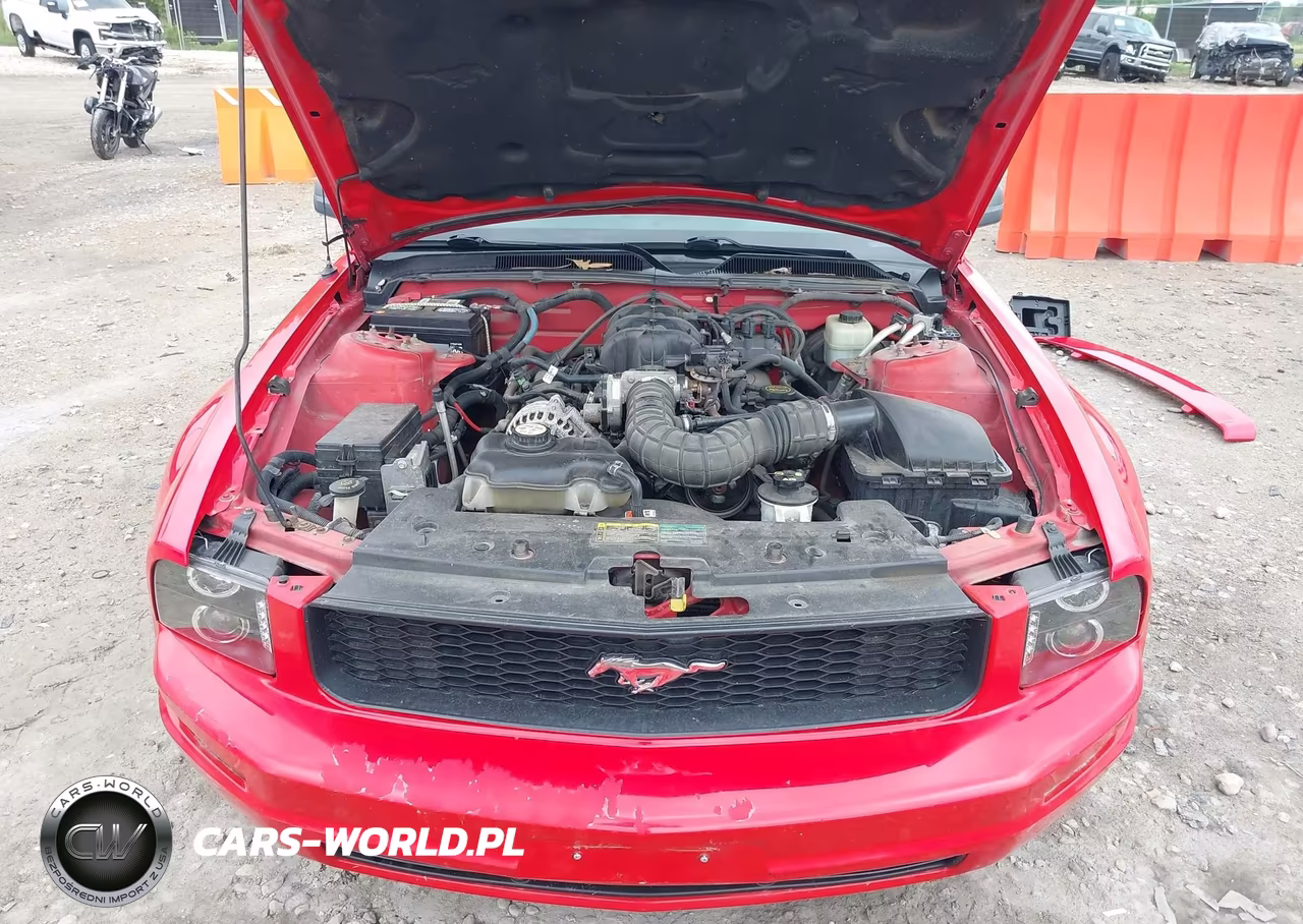 2006 Ford Mustang V6 VIN:1ZVFT84N665138737 - 10