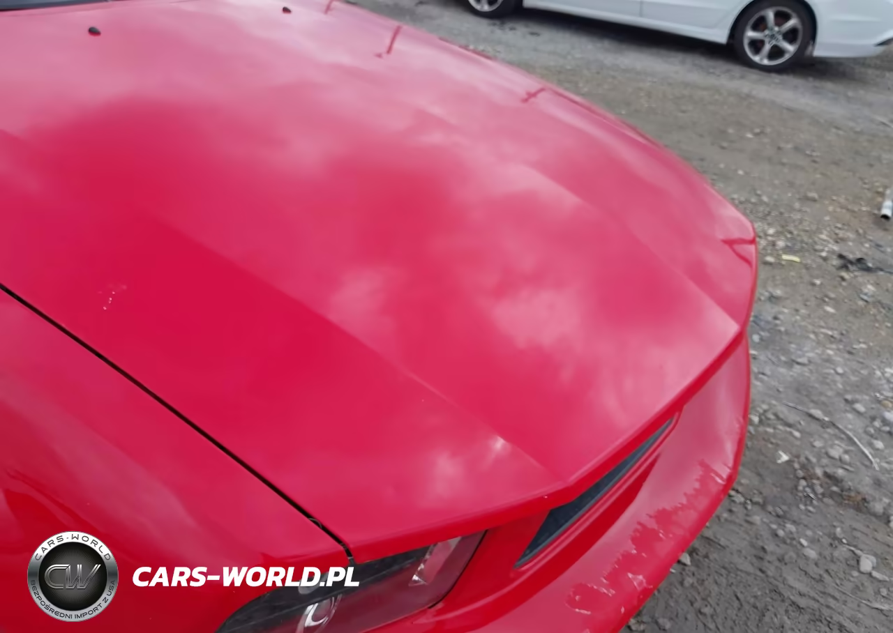 2006 Ford Mustang V6 VIN:1ZVFT84N665138737 - 16
