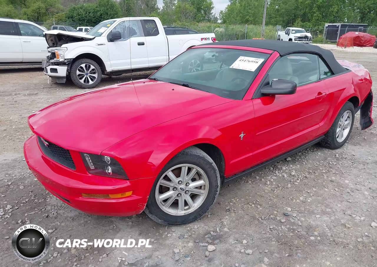 2006 Ford Mustang V6 VIN:1ZVFT84N665138737 - 2