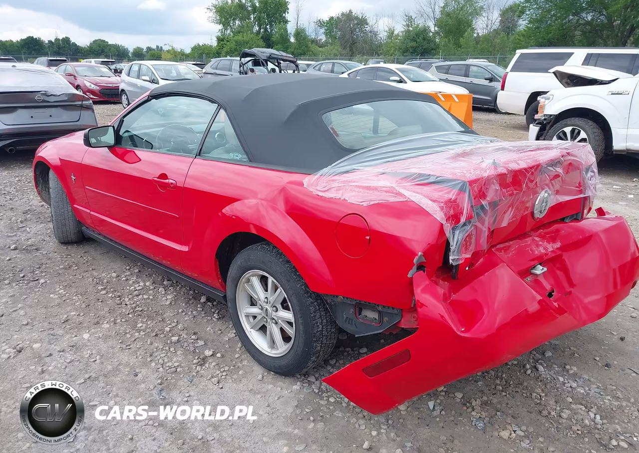 2006 Ford Mustang V6 VIN:1ZVFT84N665138737 - 3