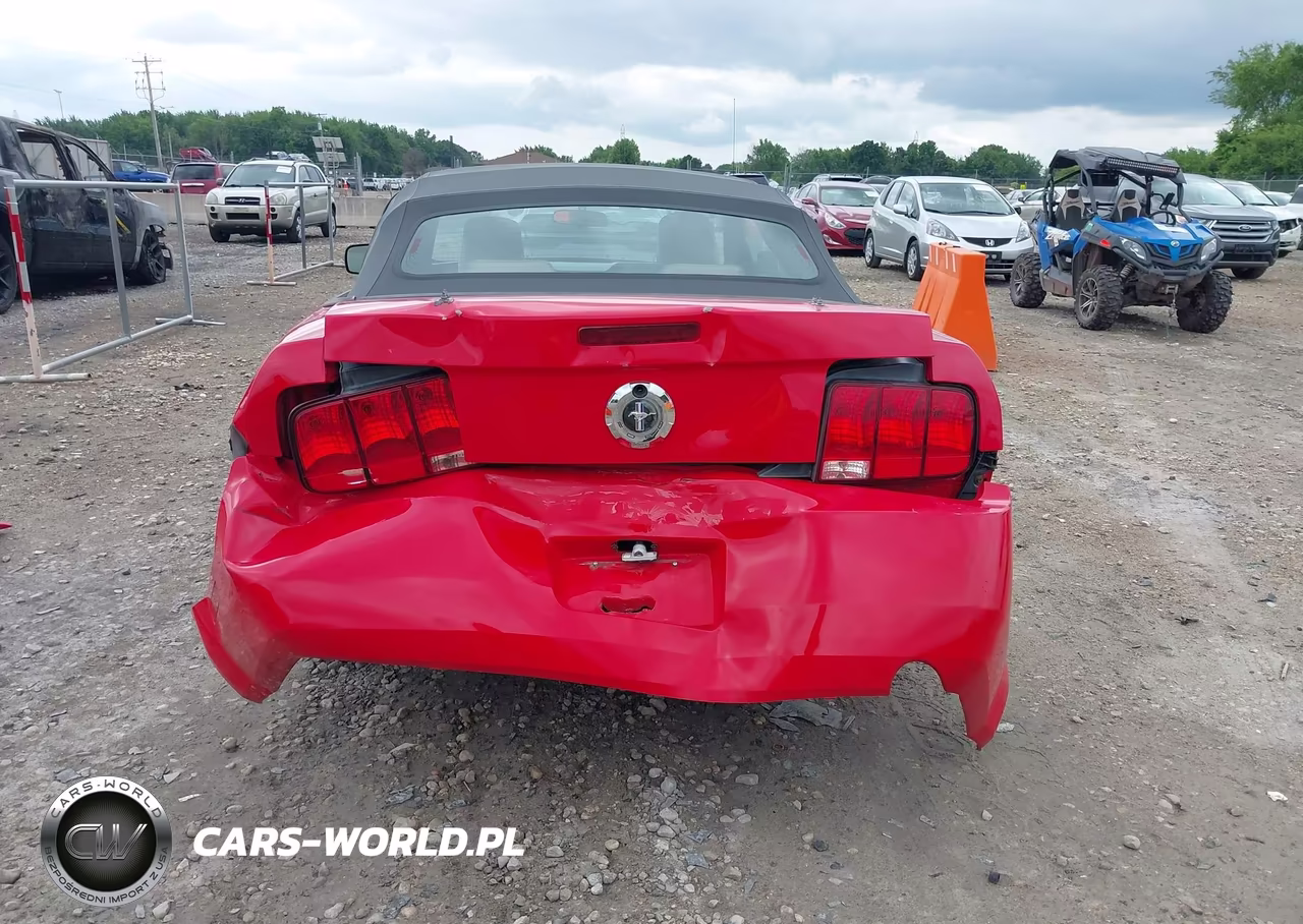 2006 Ford Mustang V6 VIN:1ZVFT84N665138737 - 6