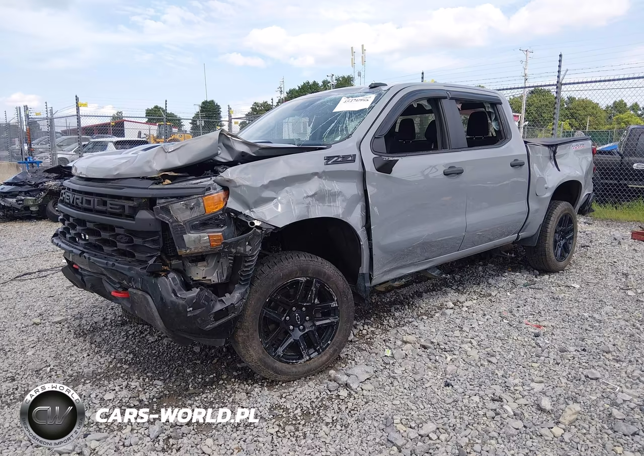 2024 Chevrolet Silverado 1500 4Wd Short Bed Custom Trail Boss VIN:3GCUDCED7RG401380 - 2