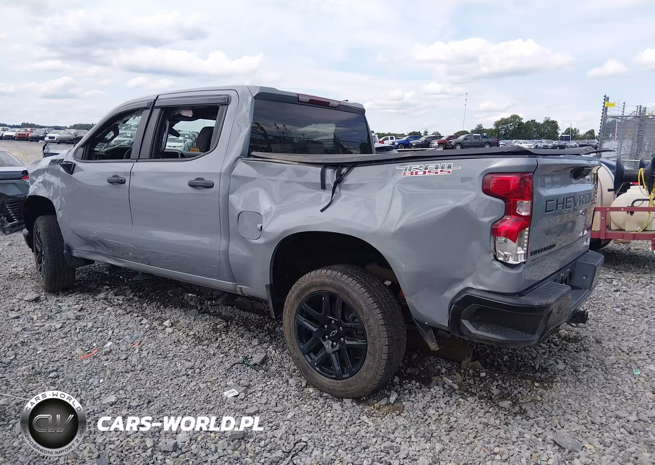 2024 Chevrolet Silverado 1500 4Wd Short Bed Custom Trail Boss VIN:3GCUDCED7RG401380 - 3
