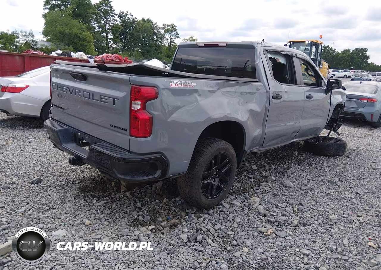 2024 Chevrolet Silverado 1500 4Wd Short Bed Custom Trail Boss VIN:3GCUDCED7RG401380 - 4