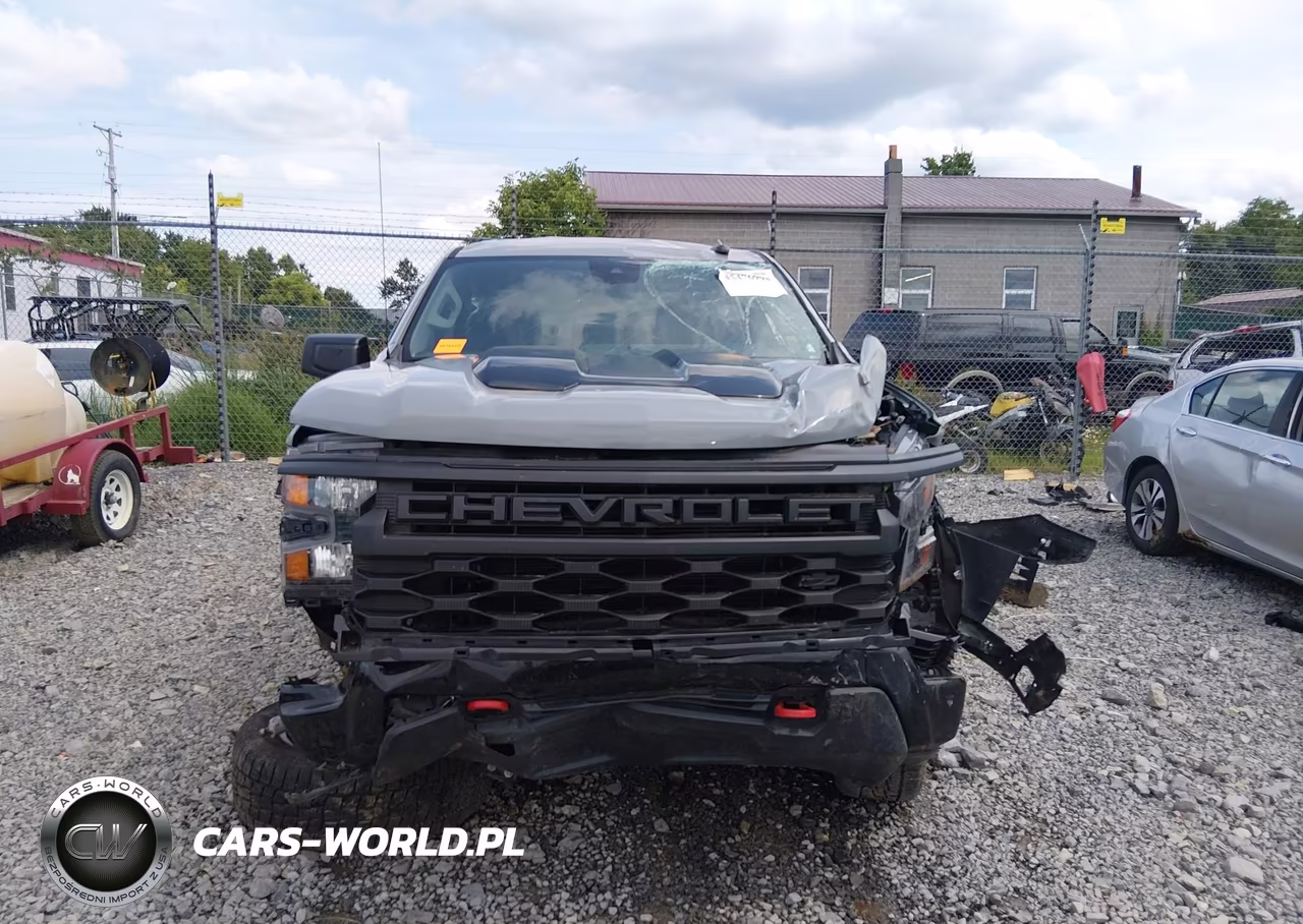 2024 Chevrolet Silverado 1500 4Wd Short Bed Custom Trail Boss VIN:3GCUDCED7RG401380 - 6