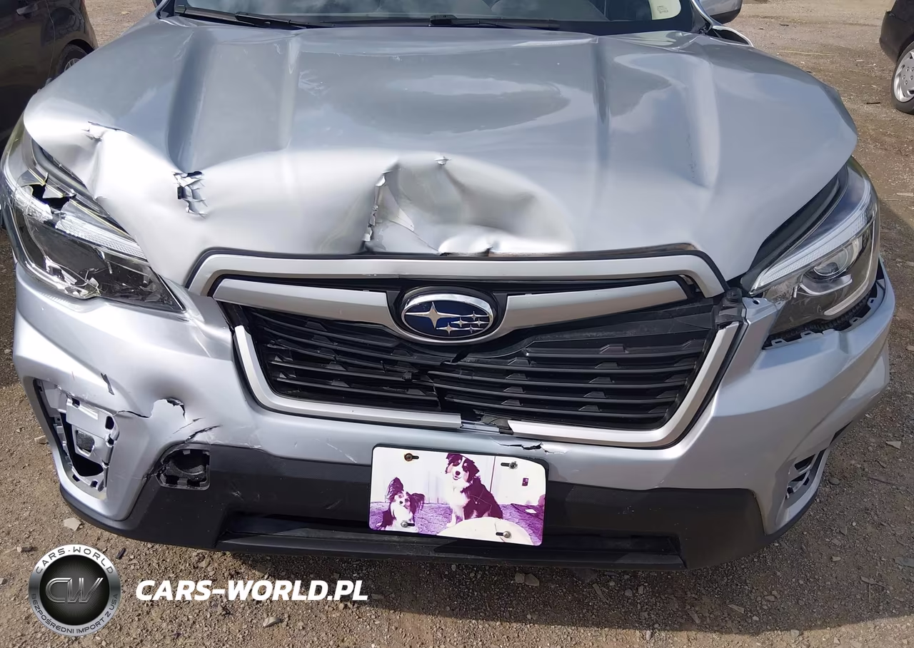 2019 Subaru Forester Premium VIN:JF2SKAEC0KH524234 - 6