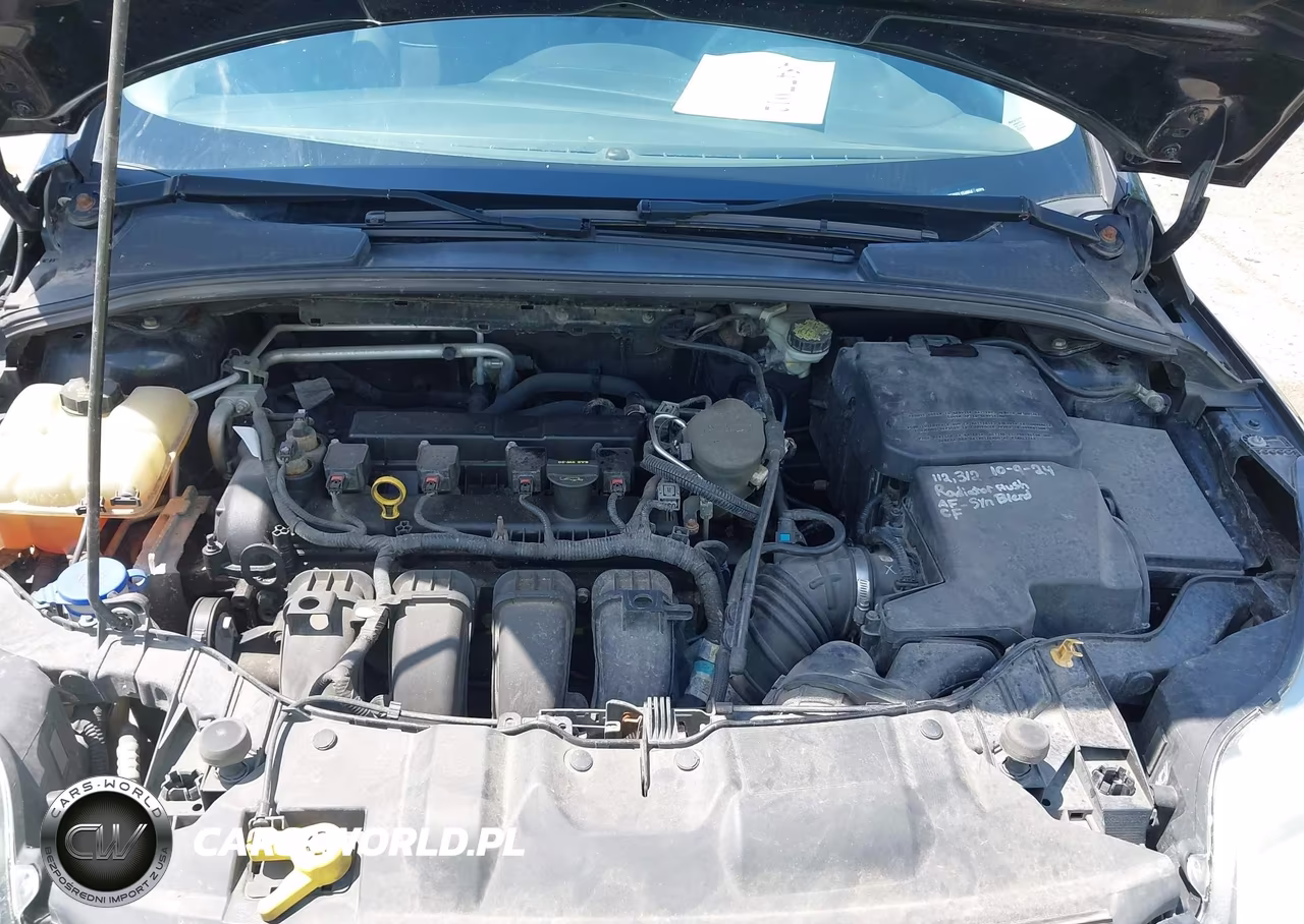 2014 Ford Focus Se VIN:1FADP3F21EL154994 - 10