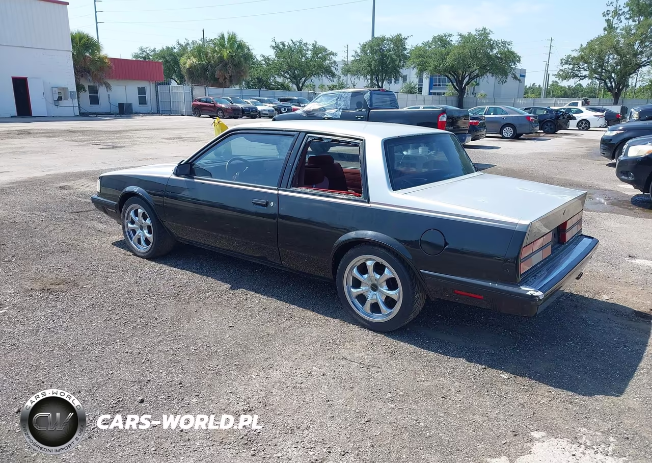 1984 Chevrolet Celebrity VIN:1G1AW27X7EG119382 - 3