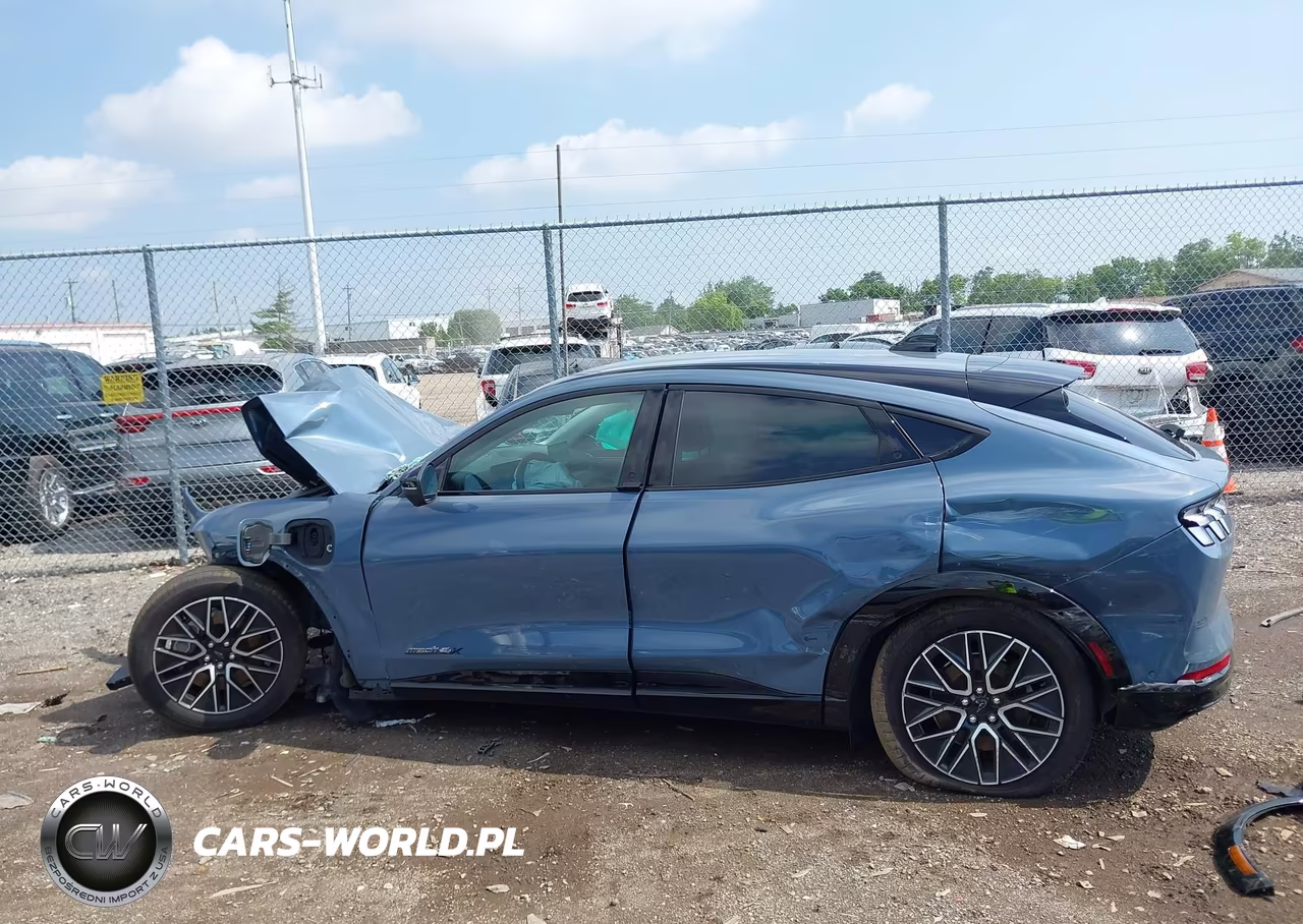 2024 Ford Mustang Mach-E Premium VIN:3FMTK3SUXRMA52203 - 14