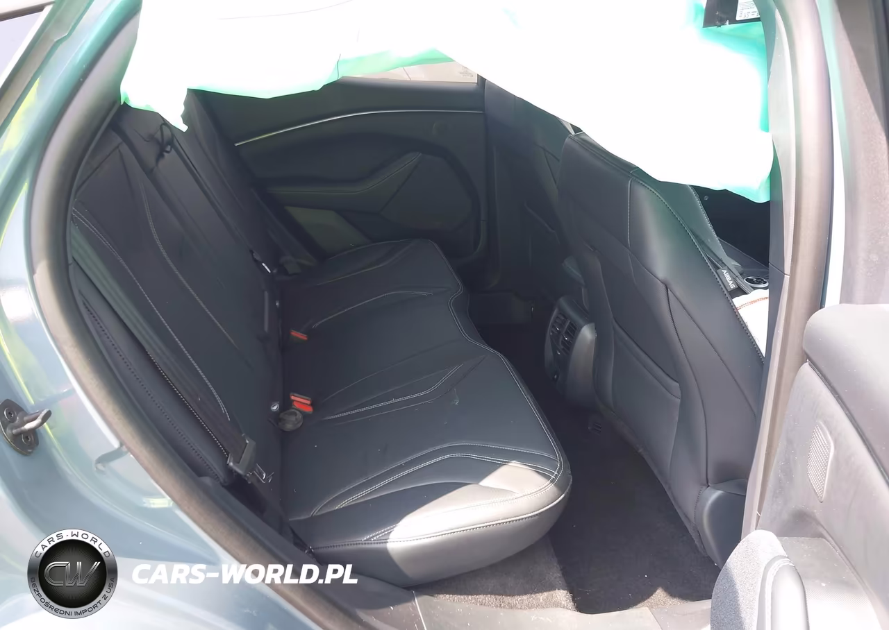 2024 Ford Mustang Mach-E Premium VIN:3FMTK3SUXRMA52203 - 8