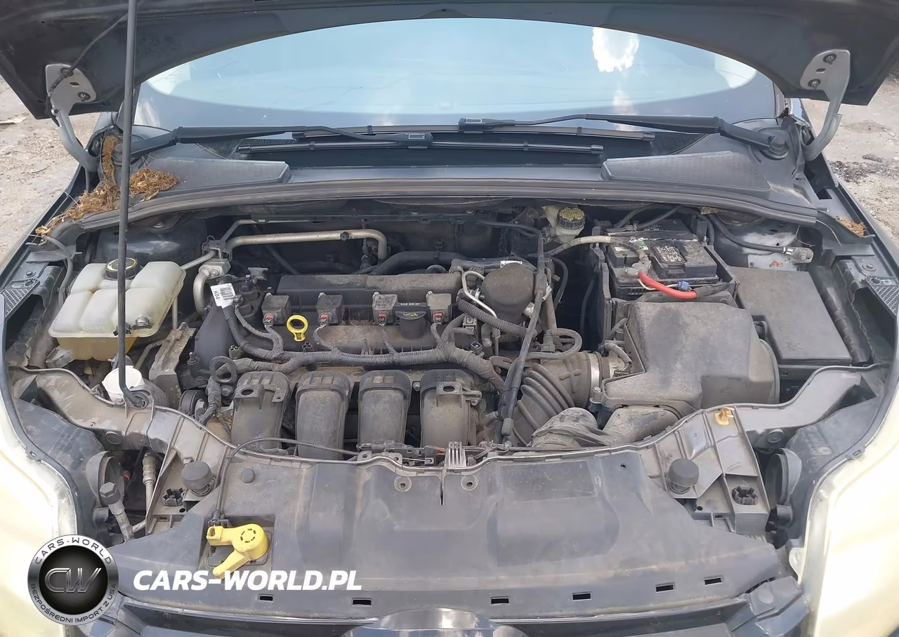 2014 Ford Focus Titanium VIN:1FADP3N27EL396027 - 10