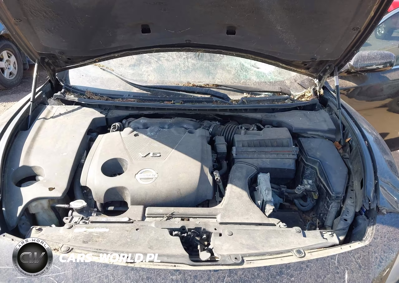 2009 Nissan Maxima 3.5 S VIN:1N4AA51E59C834582 - 10