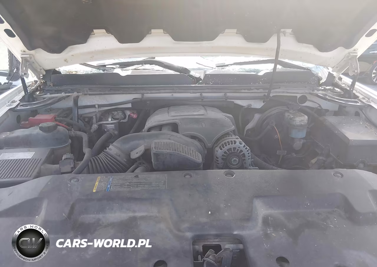 2010 Chevrolet Silverado 1500 Ls VIN:1GCSCREA8AZ192271 - 10