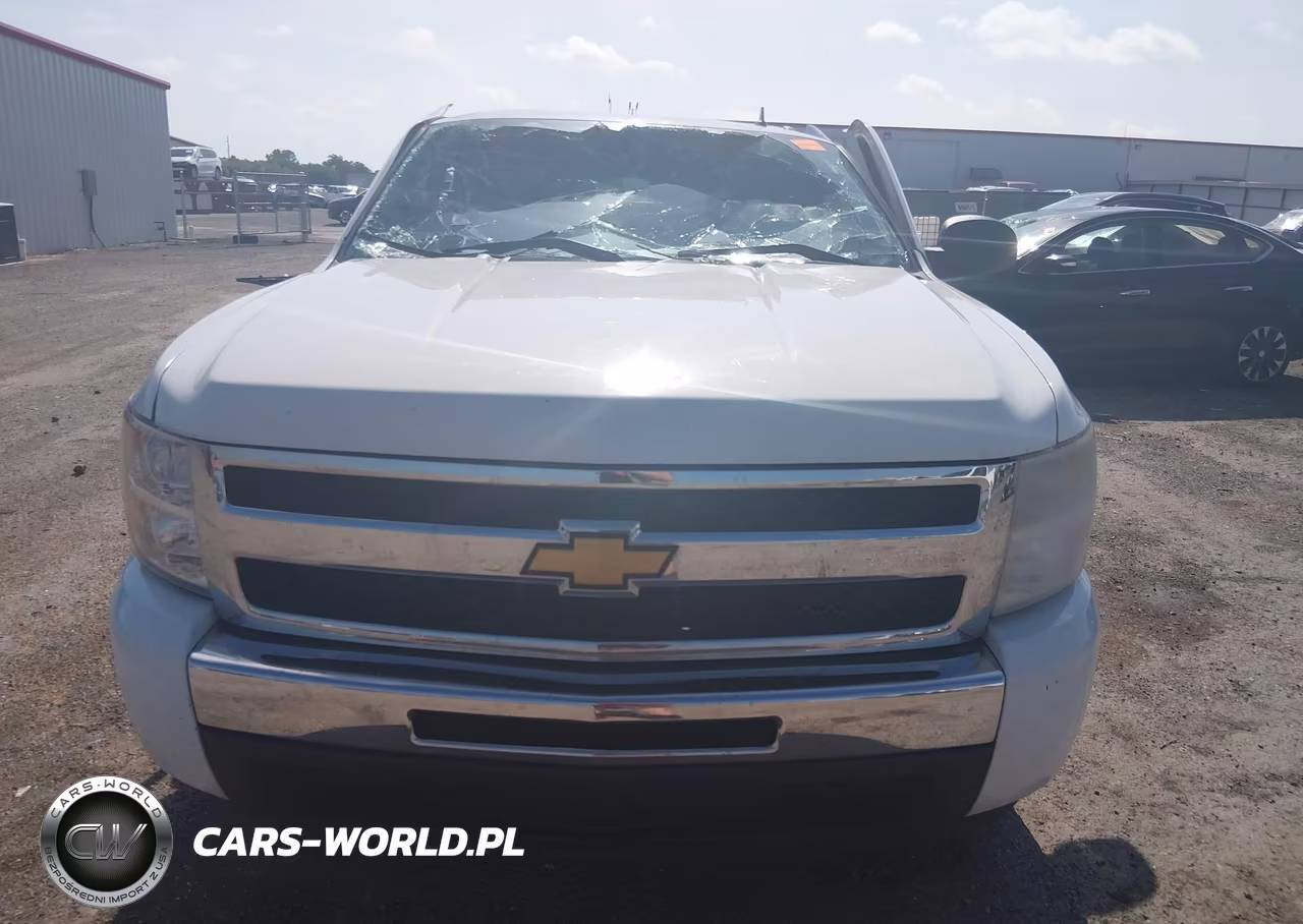 2010 Chevrolet Silverado 1500 Ls VIN:1GCSCREA8AZ192271 - 12