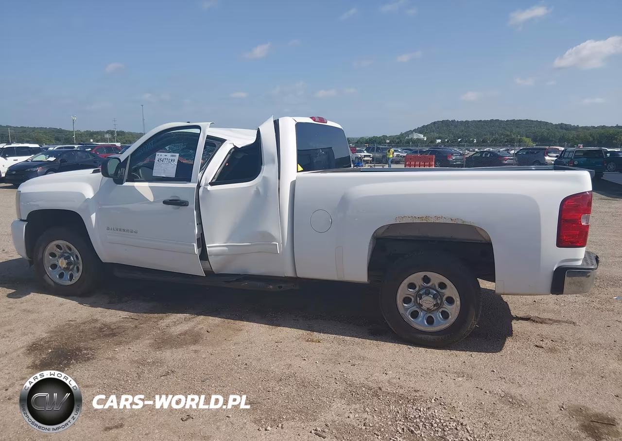 2010 Chevrolet Silverado 1500 Ls VIN:1GCSCREA8AZ192271 - 14
