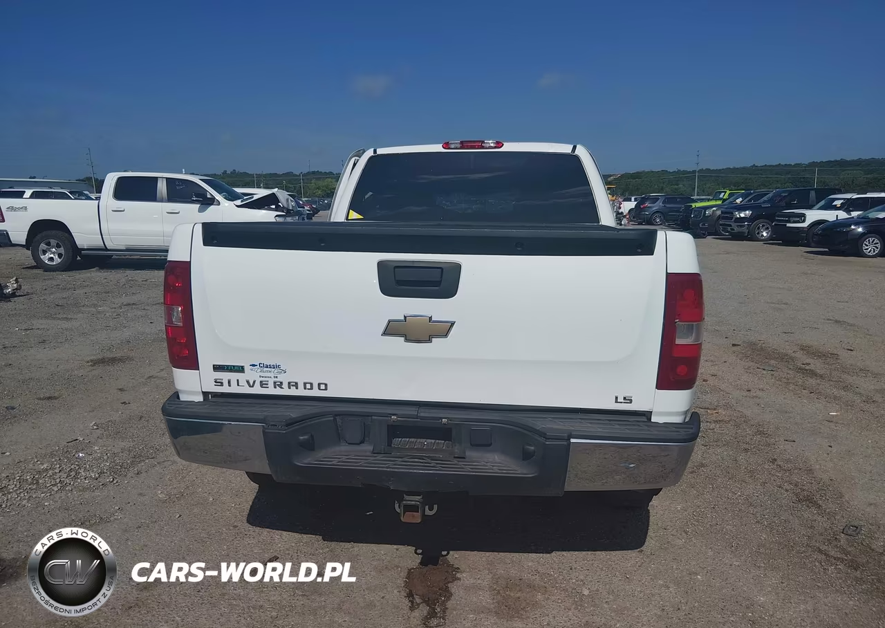 2010 Chevrolet Silverado 1500 Ls VIN:1GCSCREA8AZ192271 - 16