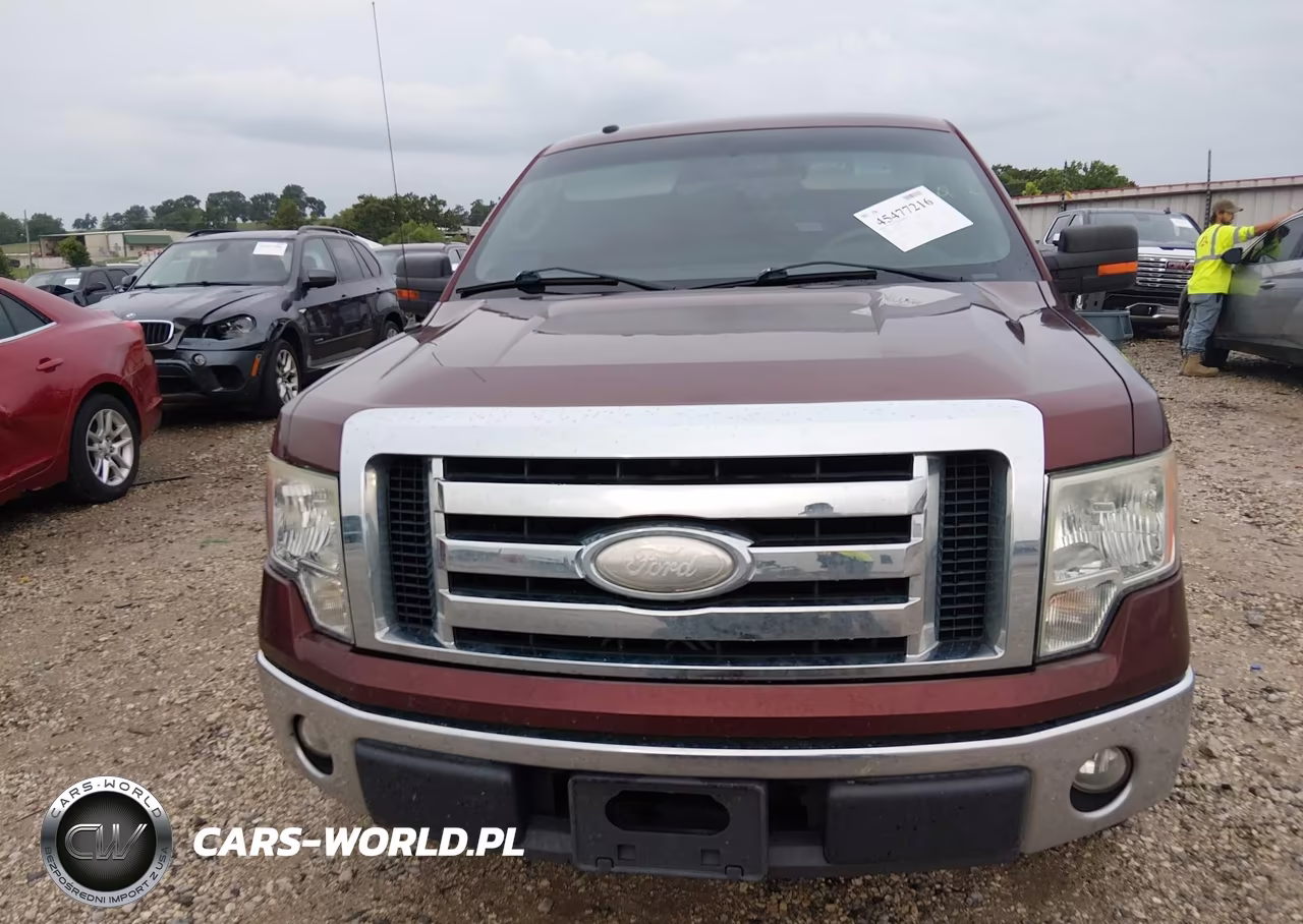 2009 Ford F-150 Xl-Xlt VIN:1FTRW12879FA73097 - 12