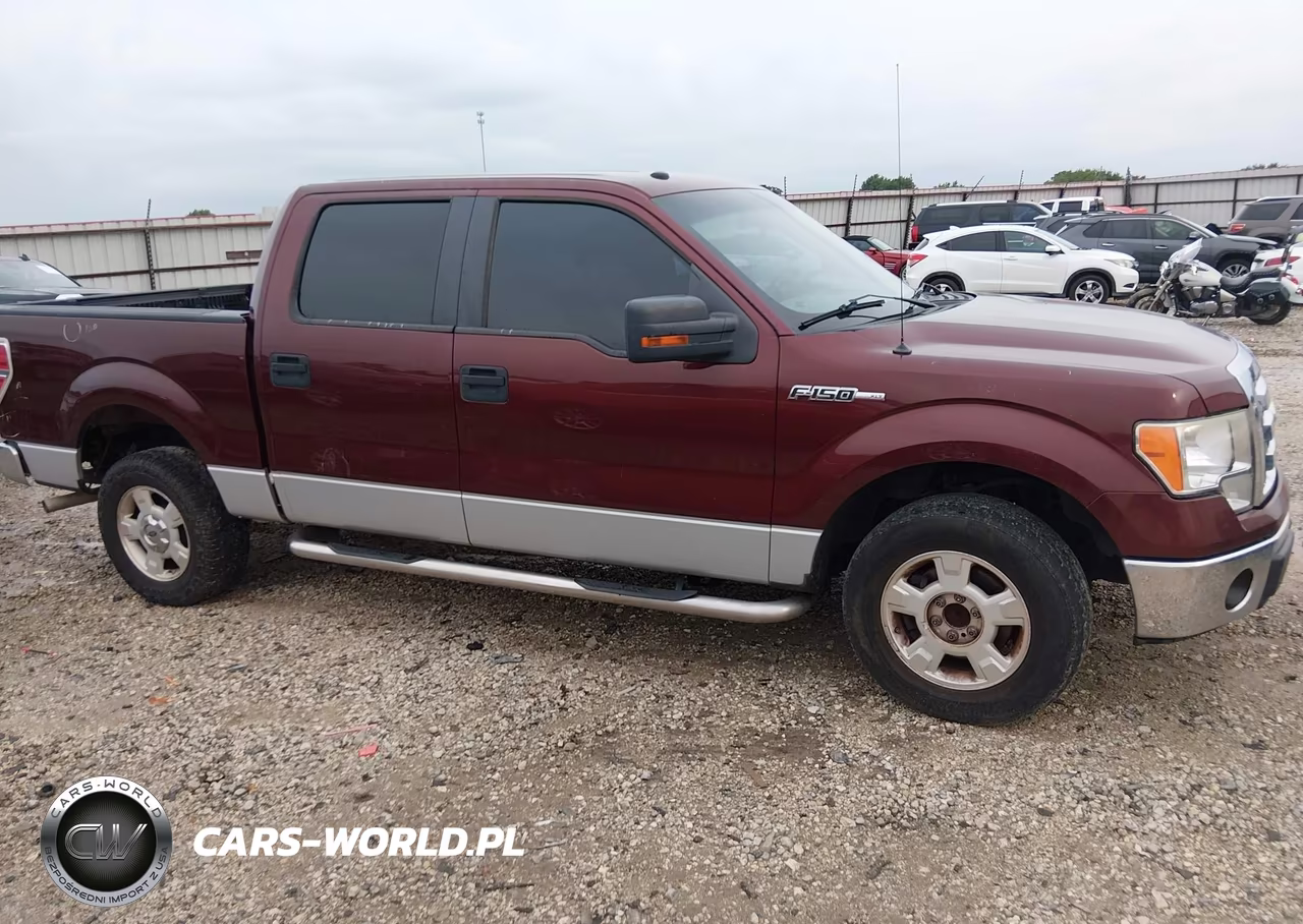 2009 Ford F-150 Xl-Xlt VIN:1FTRW12879FA73097 - 13