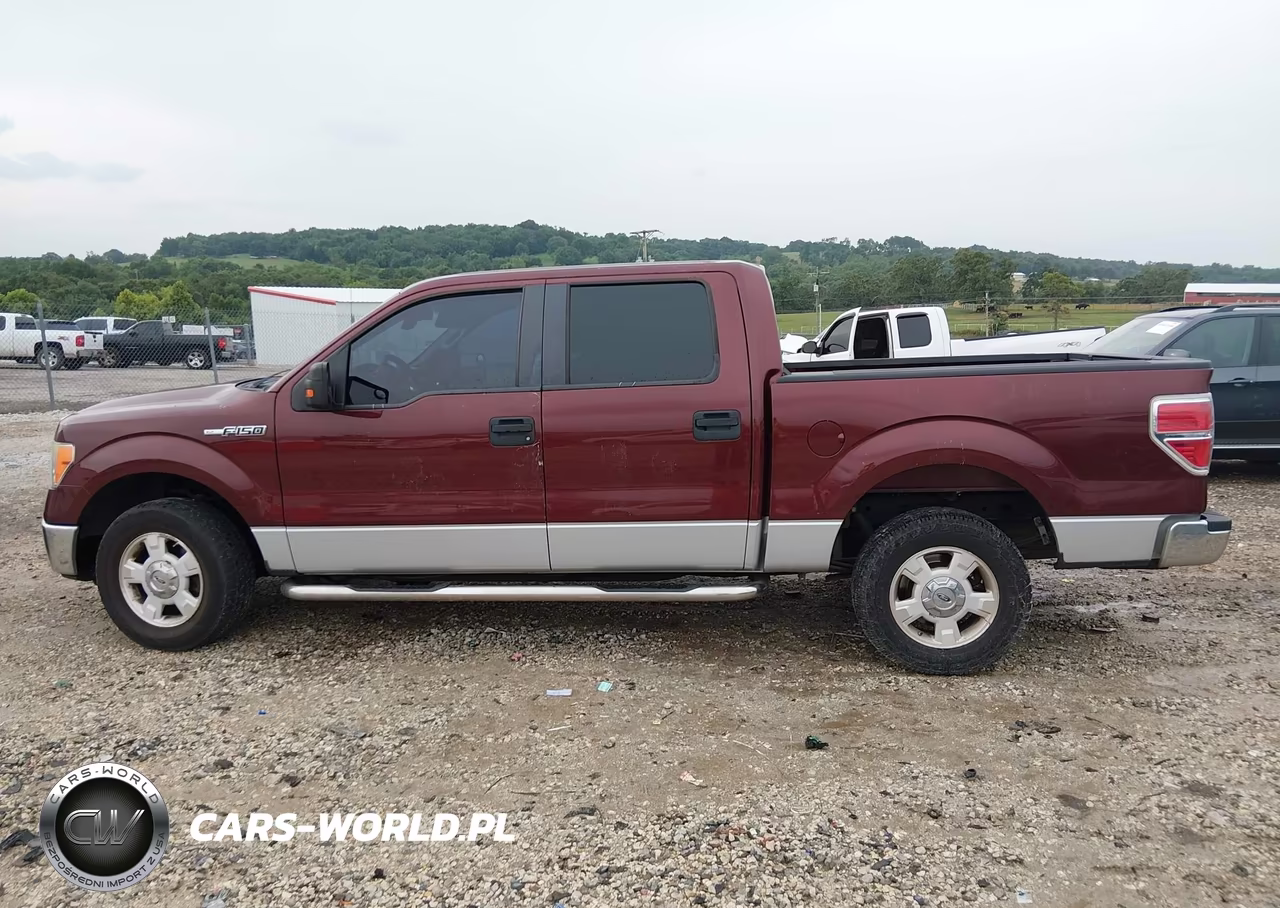 2009 Ford F-150 Xl-Xlt VIN:1FTRW12879FA73097 - 14