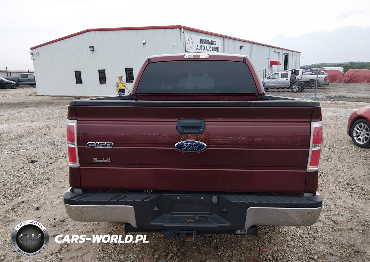 2009 Ford F-150 Xl-Xlt VIN:1FTRW12879FA73097 - 16