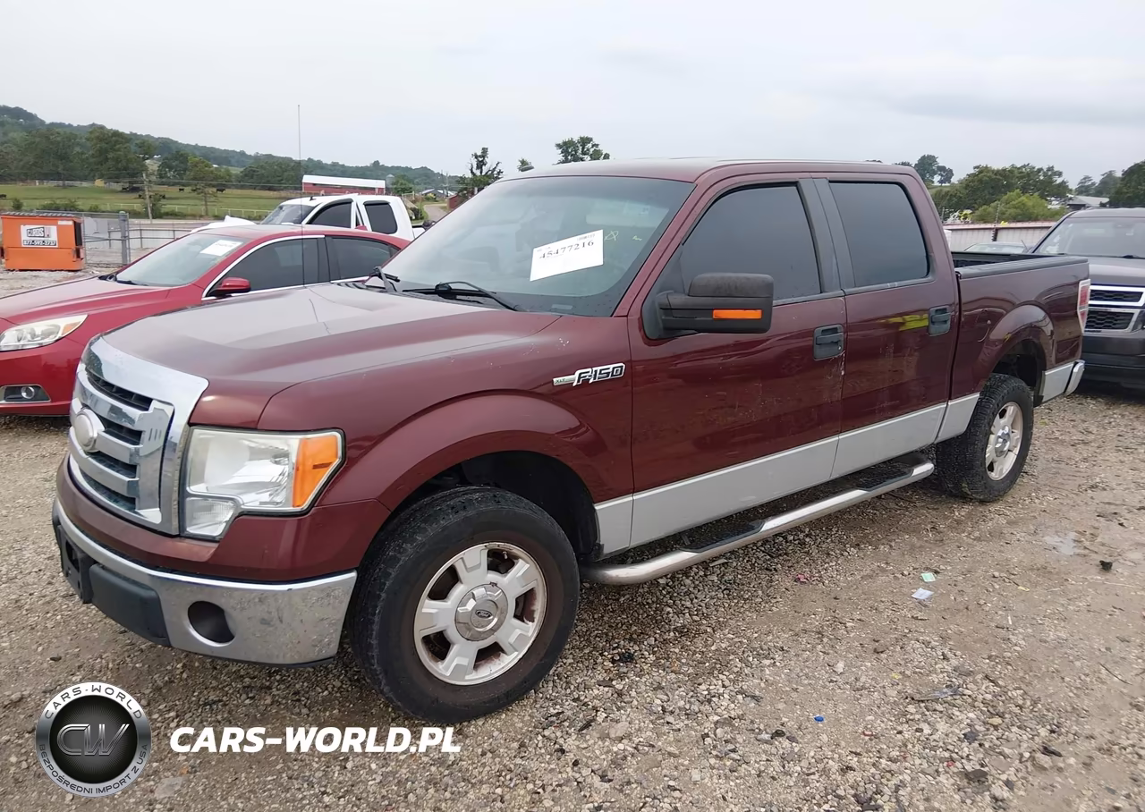 2009 Ford F-150 Xl-Xlt VIN:1FTRW12879FA73097 - 2