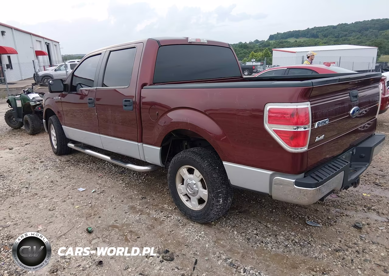 2009 Ford F-150 Xl-Xlt VIN:1FTRW12879FA73097 - 3