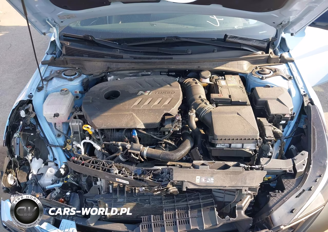 2023 Hyundai Elantra N VIN:KMHLW4AK8PU017730 - 10