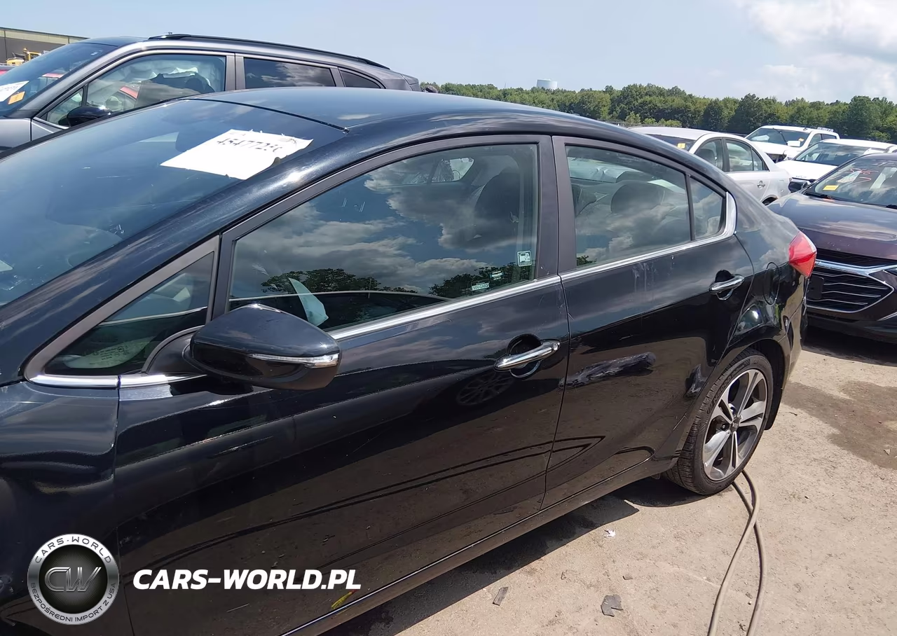 2015 Kia Forte Ex VIN:KNAFX4A8XF5342968 - 15