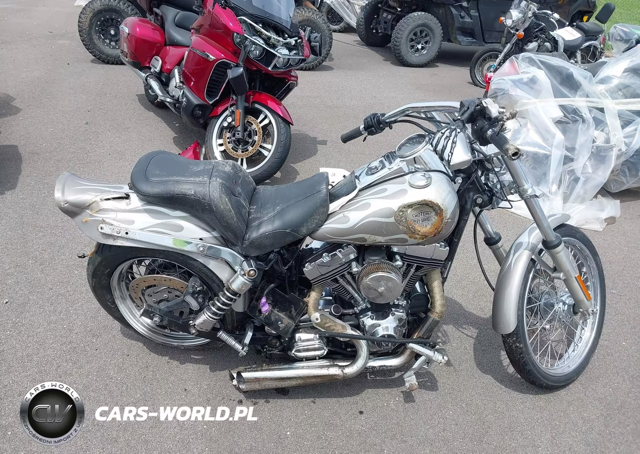 2005 Harley-Davidson Fxdwg VIN:1HD1GEV195K317607 - 12
