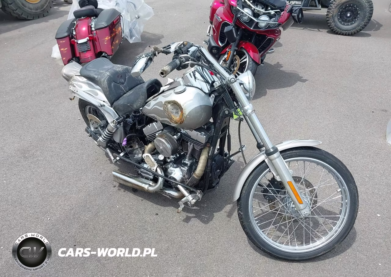 2005 Harley-Davidson Fxdwg VIN:1HD1GEV195K317607 - 2