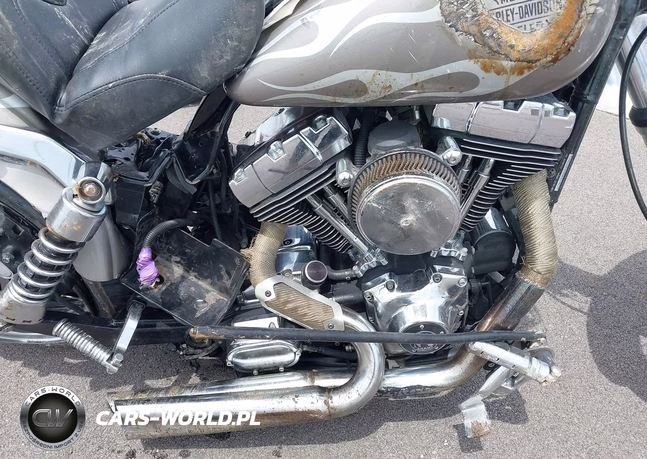 2005 Harley-Davidson Fxdwg VIN:1HD1GEV195K317607 - 9