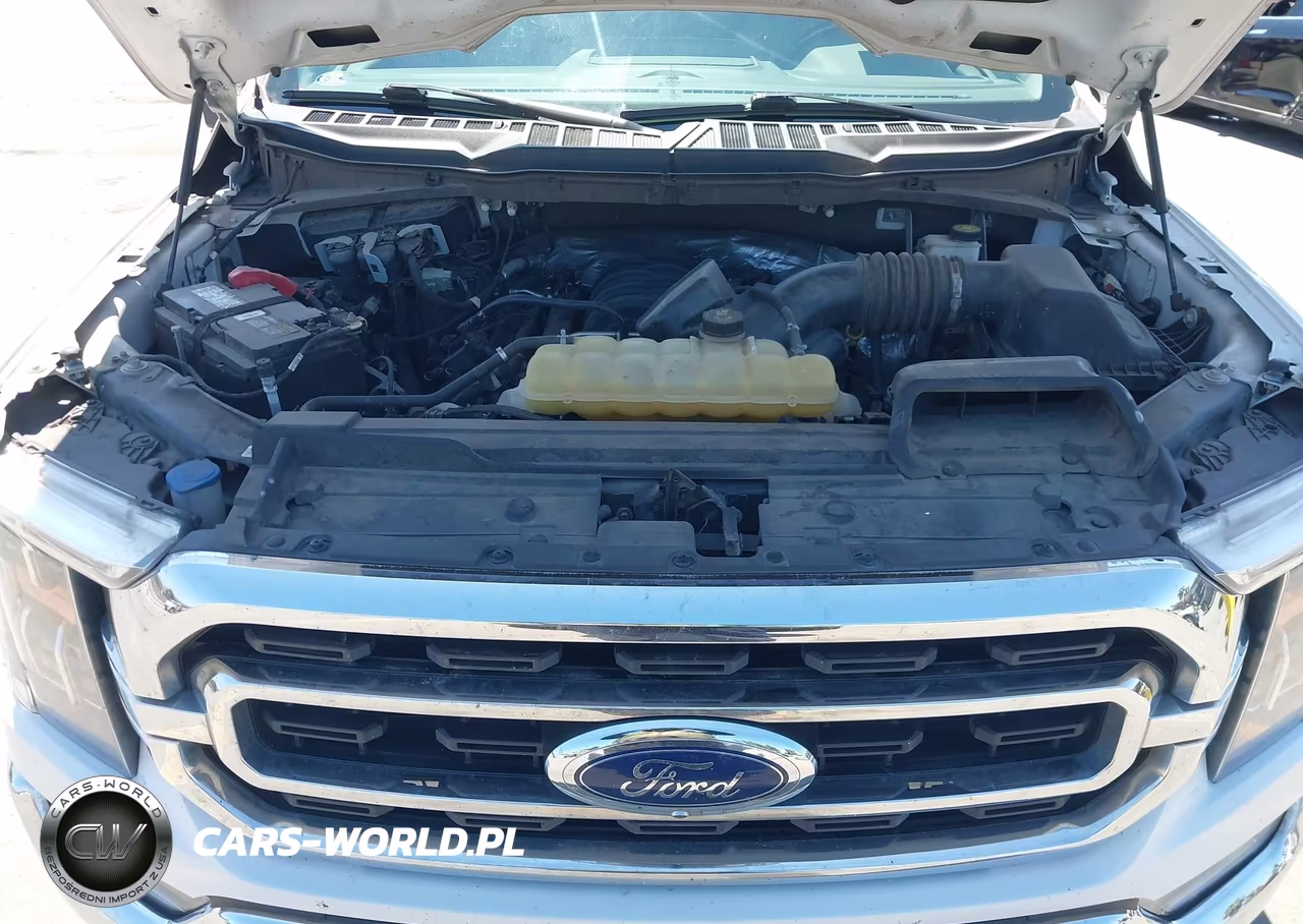 2021 Ford F-150 King Ranch-Lariat-Platinum-Xl-Xlt VIN:1FTEW1C52MKD18827 - 10