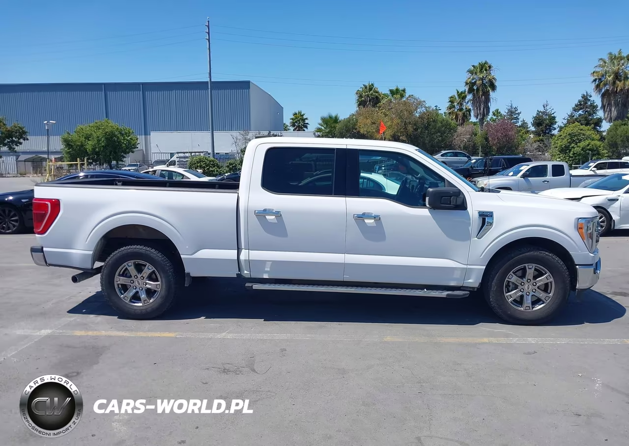 2021 Ford F-150 King Ranch-Lariat-Platinum-Xl-Xlt VIN:1FTEW1C52MKD18827 - 13