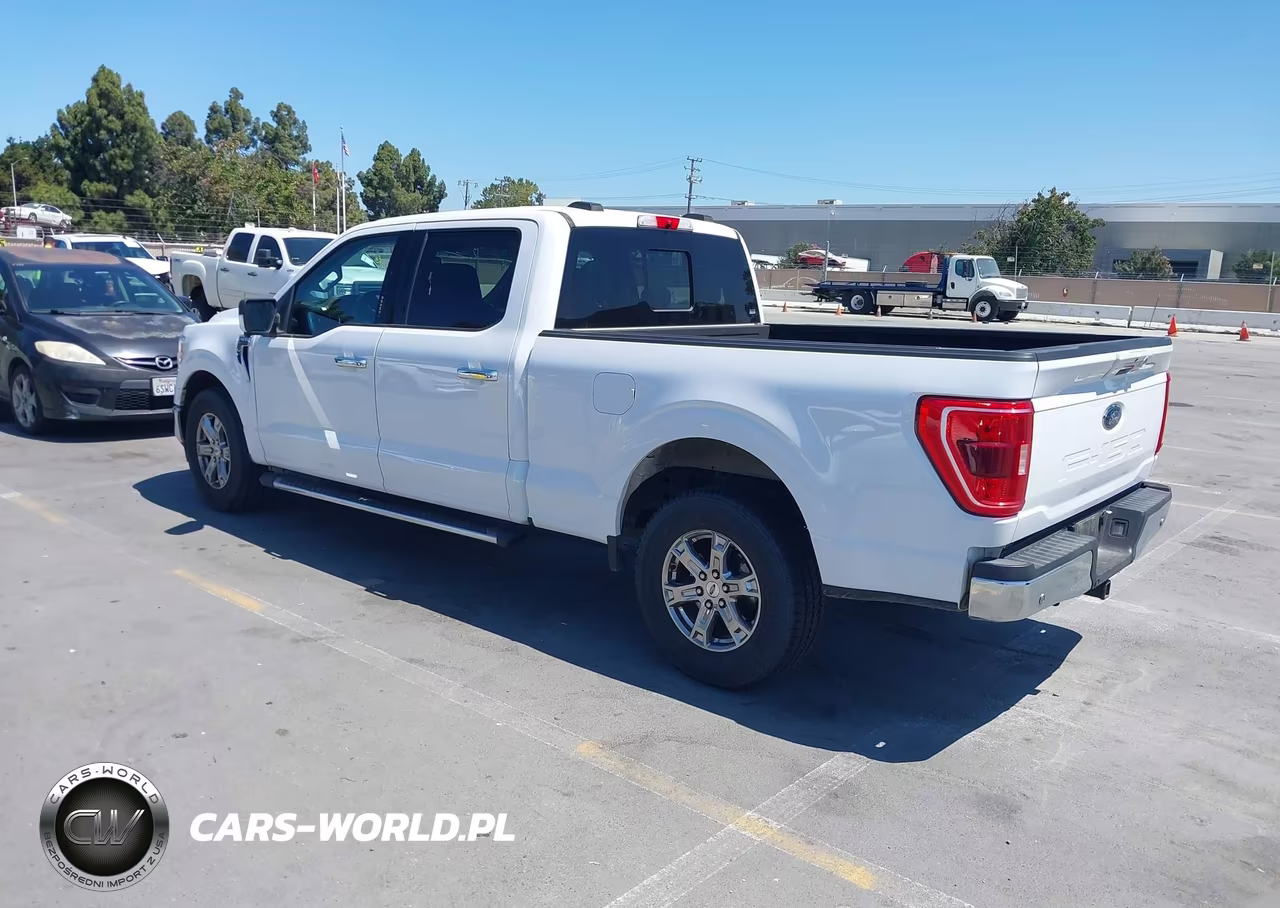 2021 Ford F-150 King Ranch-Lariat-Platinum-Xl-Xlt VIN:1FTEW1C52MKD18827 - 3