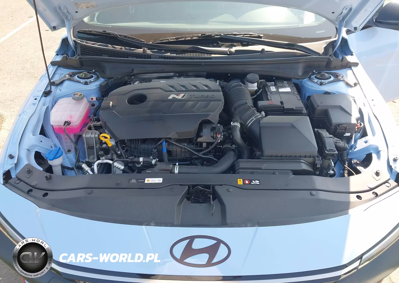 2025 Hyundai Elantra N VIN:KMHLW4DK1SU030209 - 10