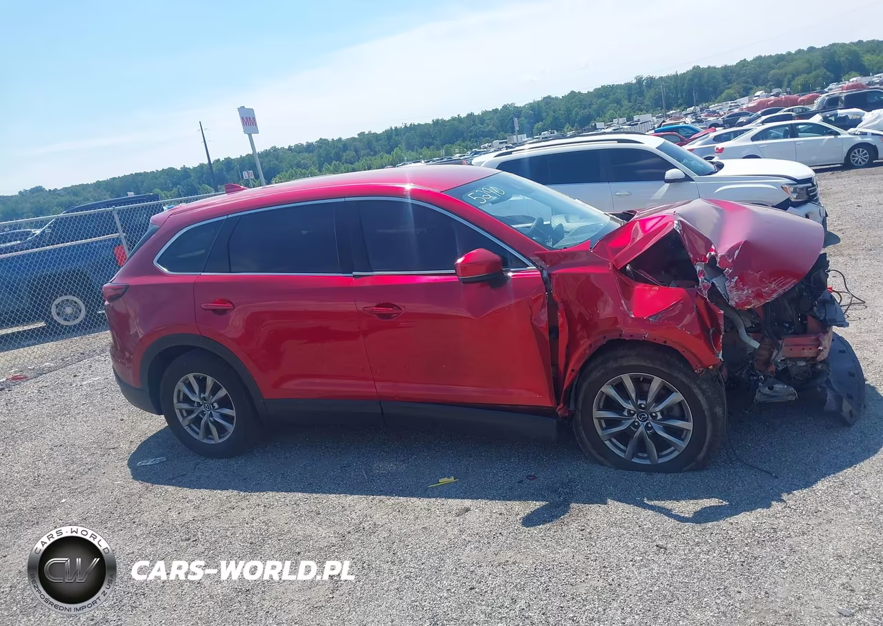2019 Mazda Cx-9 Touring VIN:JM3TCBCY3K0315290 - 13