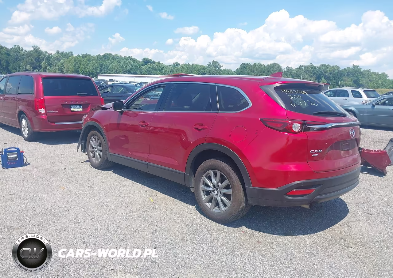 2019 Mazda Cx-9 Touring VIN:JM3TCBCY3K0315290 - 3