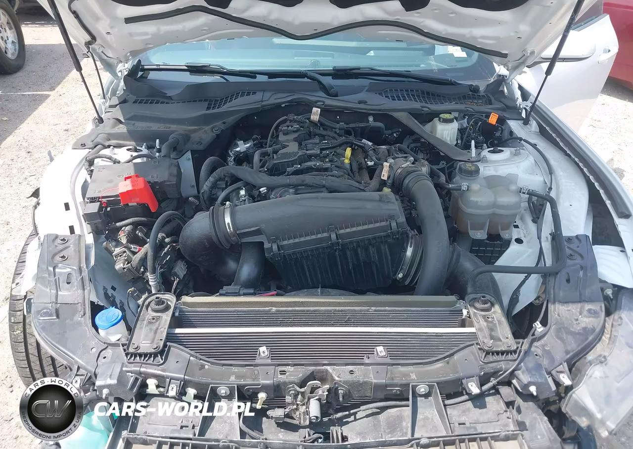 2024 Ford Mustang Ecoboost -Ecoboost Premium VIN:1FAGP8UH1R5140699 - 10